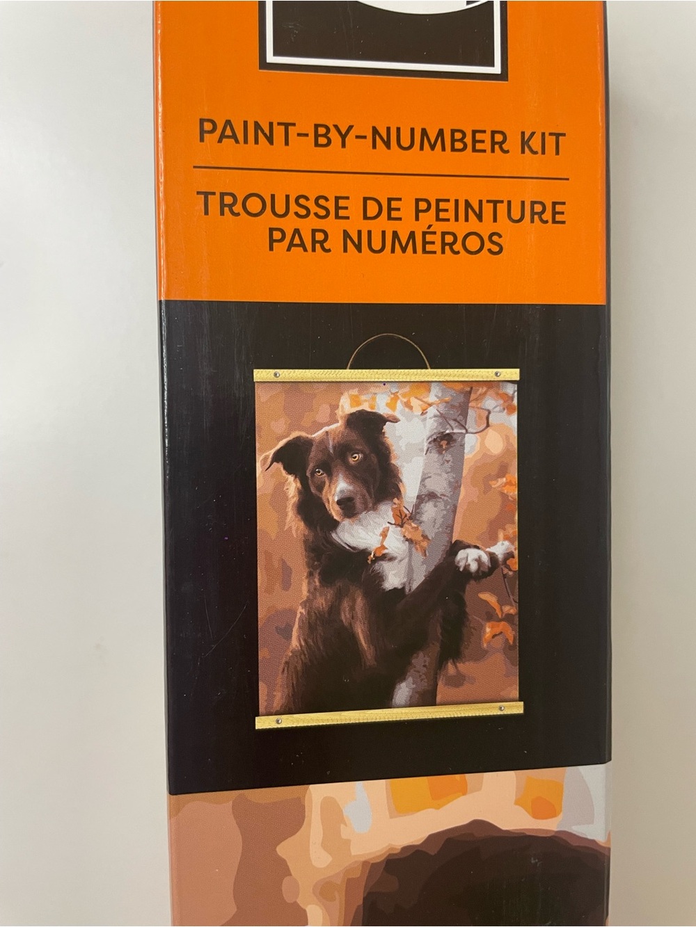 Border Collie Dog Paint-by-Number, Fall painting art project,Australian Shepherd